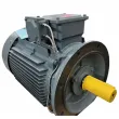 YE2 Series Three-Phase Asynchronous Motors