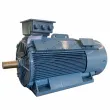 Y2HV Series High-voltage Three-phase Asynchronous Motor