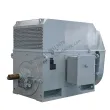 Y, YKK Series High-Voltage Three-Phase Asynchronous Motors