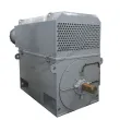 YSPKK Series High-Voltage Three-Phase Asynchronous Motors