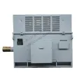 Y IP23 Series High-Voltage Three-Phase Asynchronous Motors